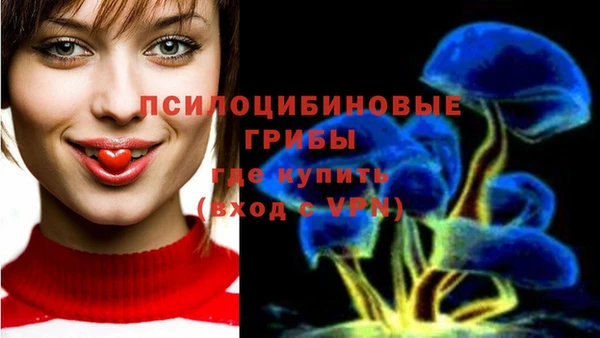 mdpv Балахна