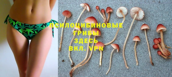 mdpv Балахна