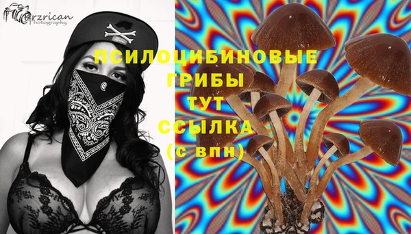 соль курить ск Баксан