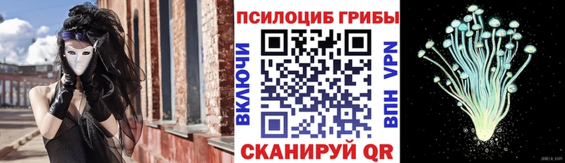 Псилоцибиновые грибы мухоморы  kraken ССЫЛКА  Туран 